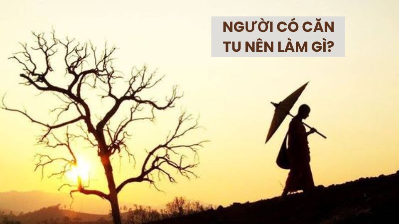 Người Có Căn Tu Nên Làm Gì