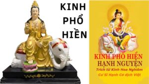 Kinh Phổ Hiền: Sự Thể Hiện Của Tâm Từ Bi Và Hạnh Nguyện