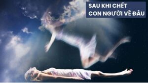 Sau Khi Chết Con Người Về Đâu? Một Hành Trình Tâm Linh và Khoa Học